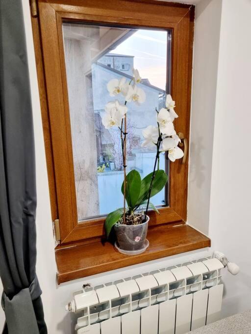 Cozy Apartment Near City Center Bucarest Exterior foto